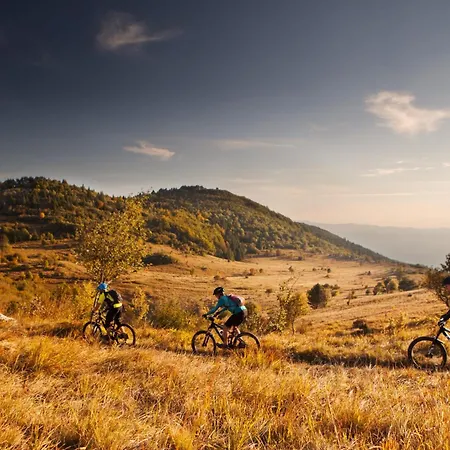 Apartma Jasen Lejlighed