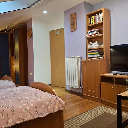 Apartma Jasen *