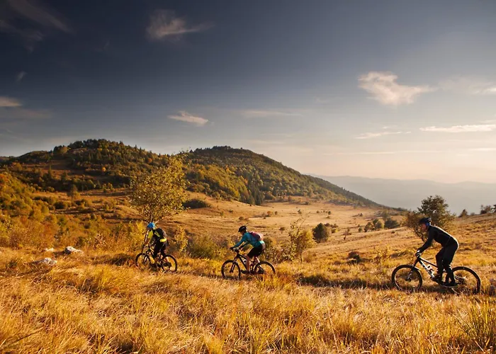 Apartma Jasen Apartma