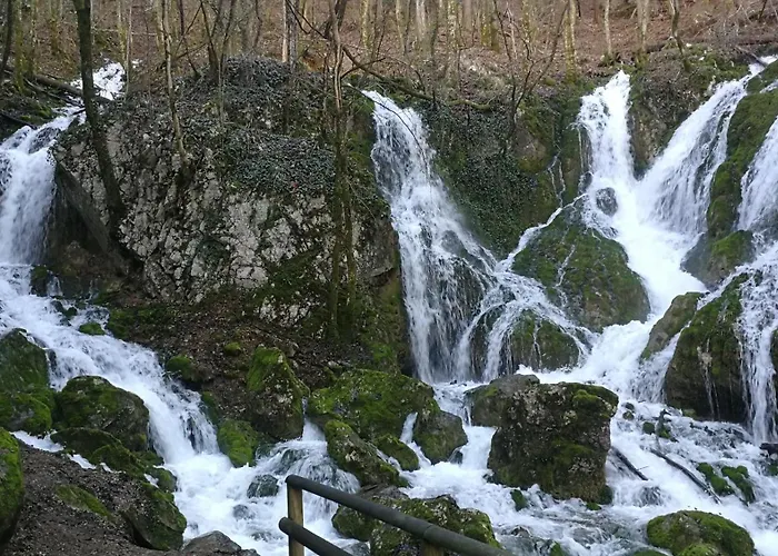 Apartma Jasen * 伊利尔斯卡比斯特里察